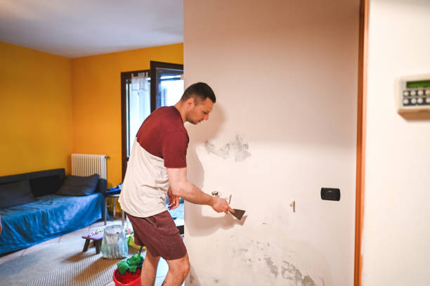 Best Emergency Mold Removal  in Oran, MO